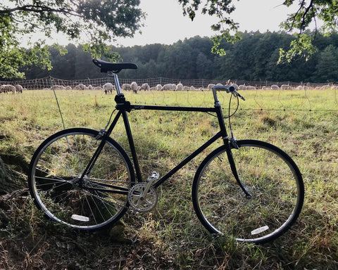 Wolff classic fixie deals