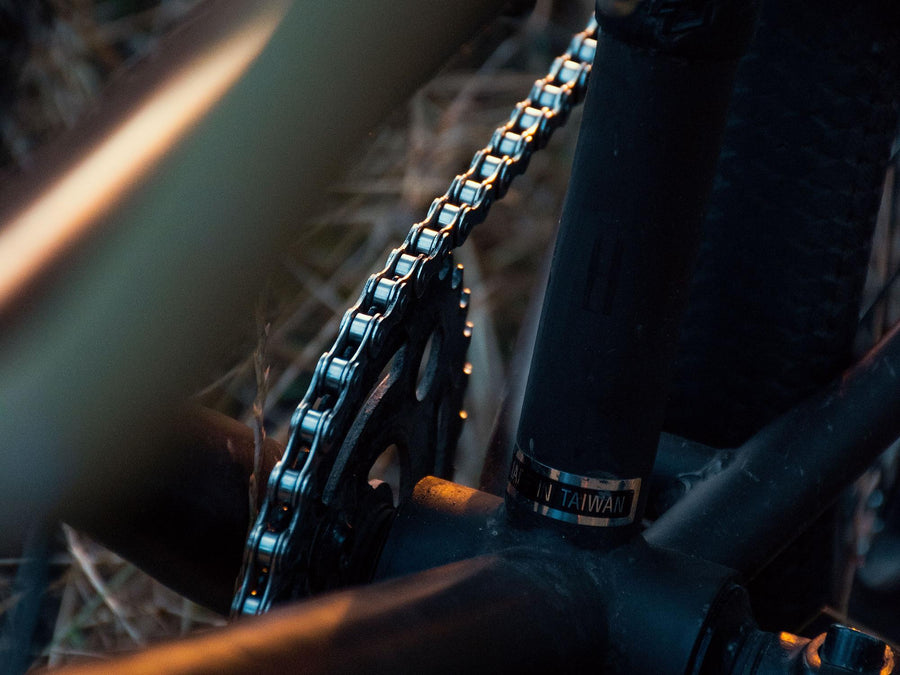 Fahrradkette auf dem Kettenblatt eines Mountainbikes, Nahaufnahme am Tretlager im Abendlicht