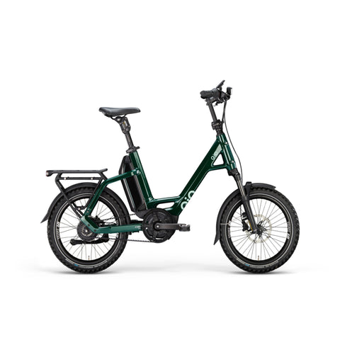 E-Bike QIO "EINSx P-E" Mod. 2025, waldgrün